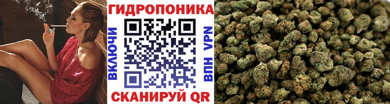 Шишки марихуана семена  Купить  Кочубеевское 